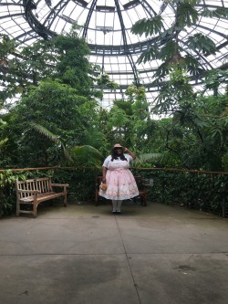 princess-mint:    Huntington library   Outfit run down JSK: DollBe, PG Garden party, in pink.  Shoes: Shoes of prey Shirt: Amerimark (modified) Hat: Forever 21 (modified)   Knee highs: sock dreams Wig: Bodyline Purse: Etsy 