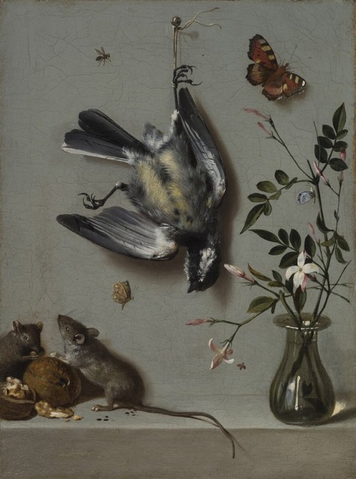 talleyrandsghost: Jean-Baptiste Oudry (1686-1755) Still life with butterflies, mice and a dead great