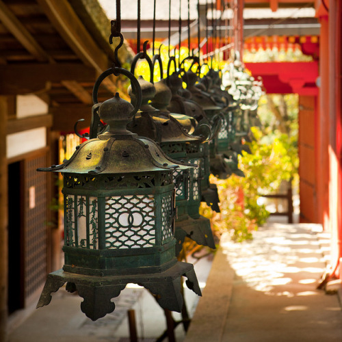 Kasuga Taisha Lanterns : Nara, Japan / Japón