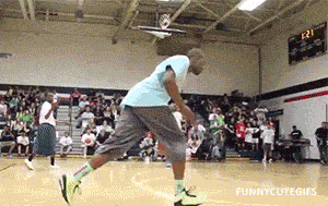 The Funniest GIFs On the Internet