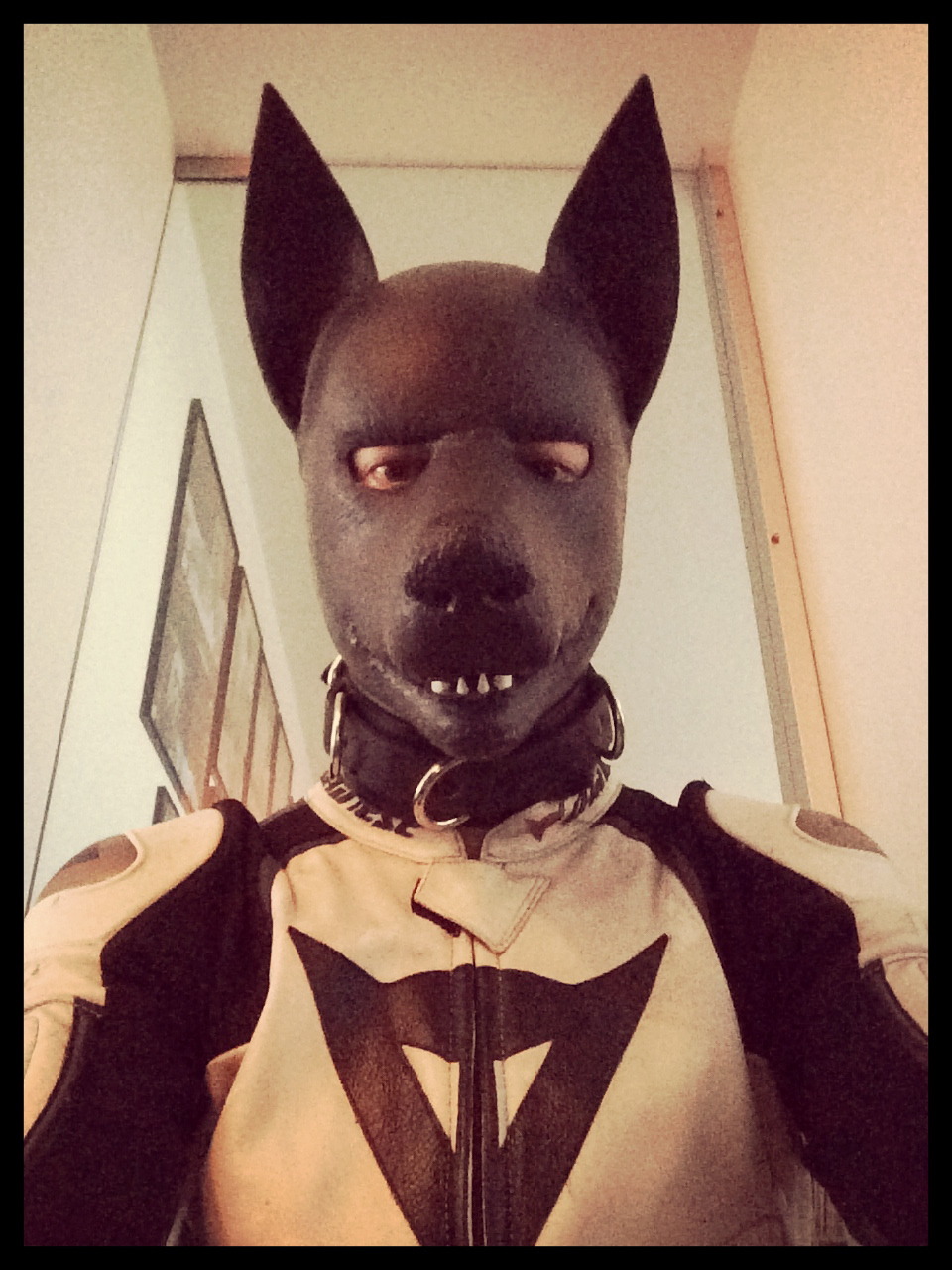 littlebabygish:  maxxngear:  #pup in full #leather #alpinestars #rubber Waiting instructions! 
