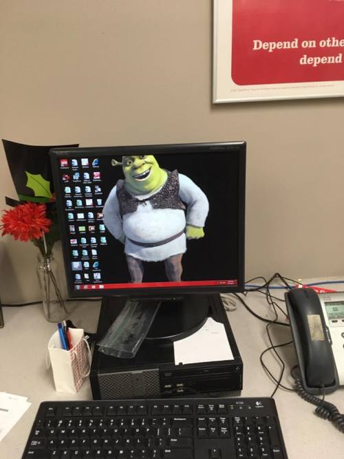 masterryan1595: So I changed our work computers to Shrek and it’s still there 3 weeks later.