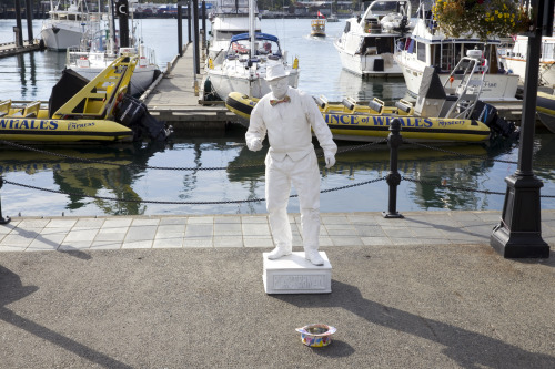 Victoria BC Canada Is An International Hotspot Giving You Many Things To Do On Your Vacation. Mark It