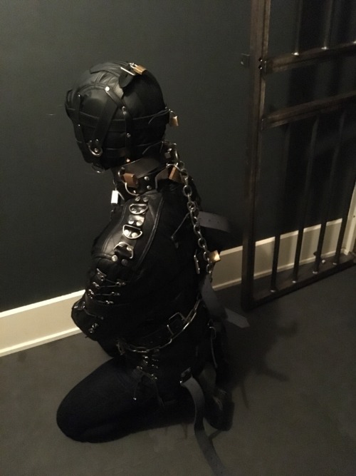 XXX seabondagesadist:  I just love a gimp gagged, photo