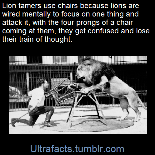 ultrafacts:    (Fact Source) for more facts, follow Ultrafacts   