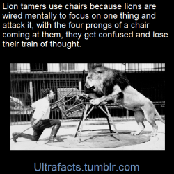 ultrafacts:    (Fact Source) for more facts,