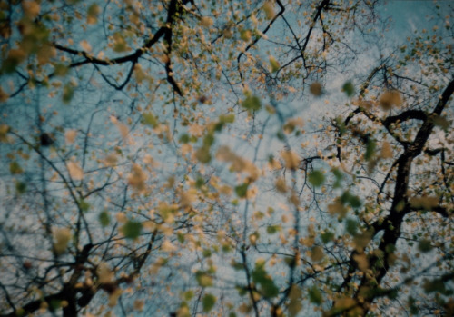 Terry Magson Analogue Photographer