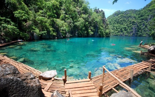 Tropical Blog