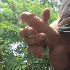 Cumming on the side of the road