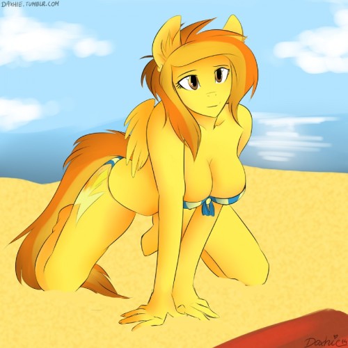 https://kanzans-porn.tumblr.com/post/92335160060