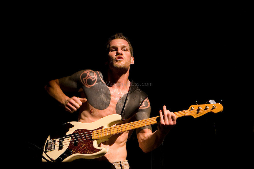 THE ELEPHANT BASS : Tim Commerford RATM & Audioslave bass player