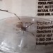 I caught and released this huge spider last night. Or, well, attempted to release,