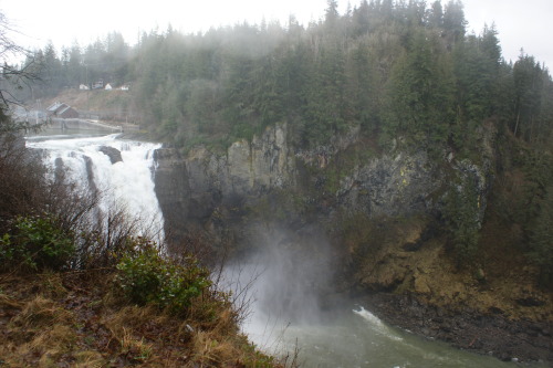 Snoqualmie mist