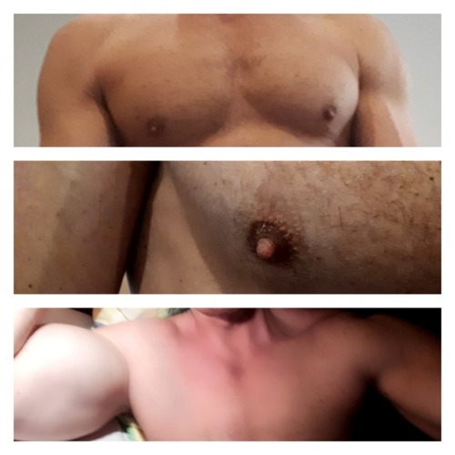 https://nipplepigs.tumblr.com/post/167905399802