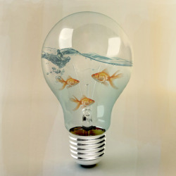 artagainstsociety:  ideas and goldfish 03 by Vin Zzep