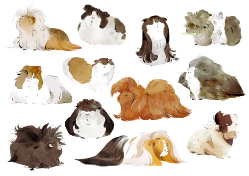 cranesketch: Big pigs, small pigs, fancy fluffy pigs 