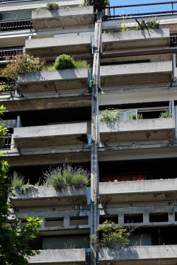 scavengedluxury:  Ferant Garden. Ljubljana, June 2015.  