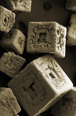 sixpenceee:  Grains of salt under an electron microscope.