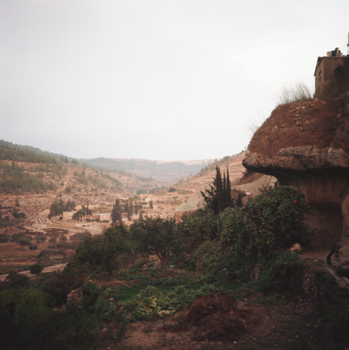 Pauline Beugnies: Battir - 2013-Ongoing Located on hilly land planted of endless rows of ancient oli