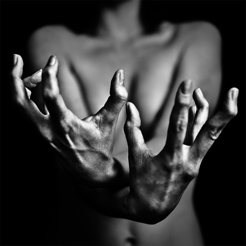 darwinsconfessional:   BENOIT COURTI  