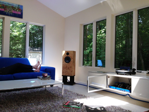 visualcommentary:  Record Room  [June 2013, Annandale, VA] 