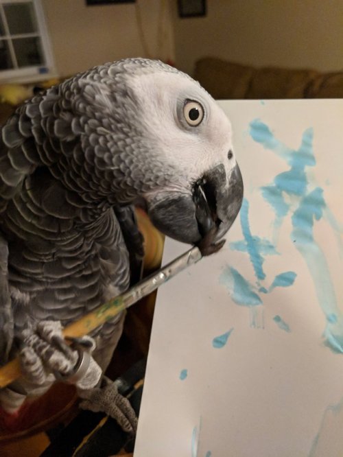 draconym:Ripley (sort of) painted a picture today (mostly he destroyed a paintbrush while making inc