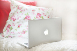 My Dreamland