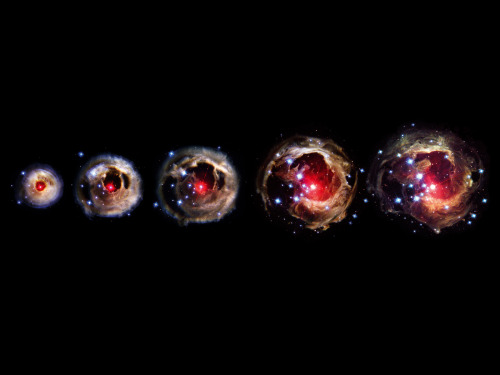 &ldquo;V838 Monocerotis stages of expansion beginning from May 2002 to October 2004&rdquo; o