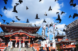 dreams-of-japan:  名古屋 寶生院大須觀音寺 by MarkFong on Flickr.