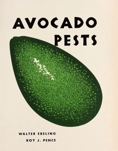nemfrog:Circular 428. Agricultural bulletin, cover art. Avocado pests. 1953.