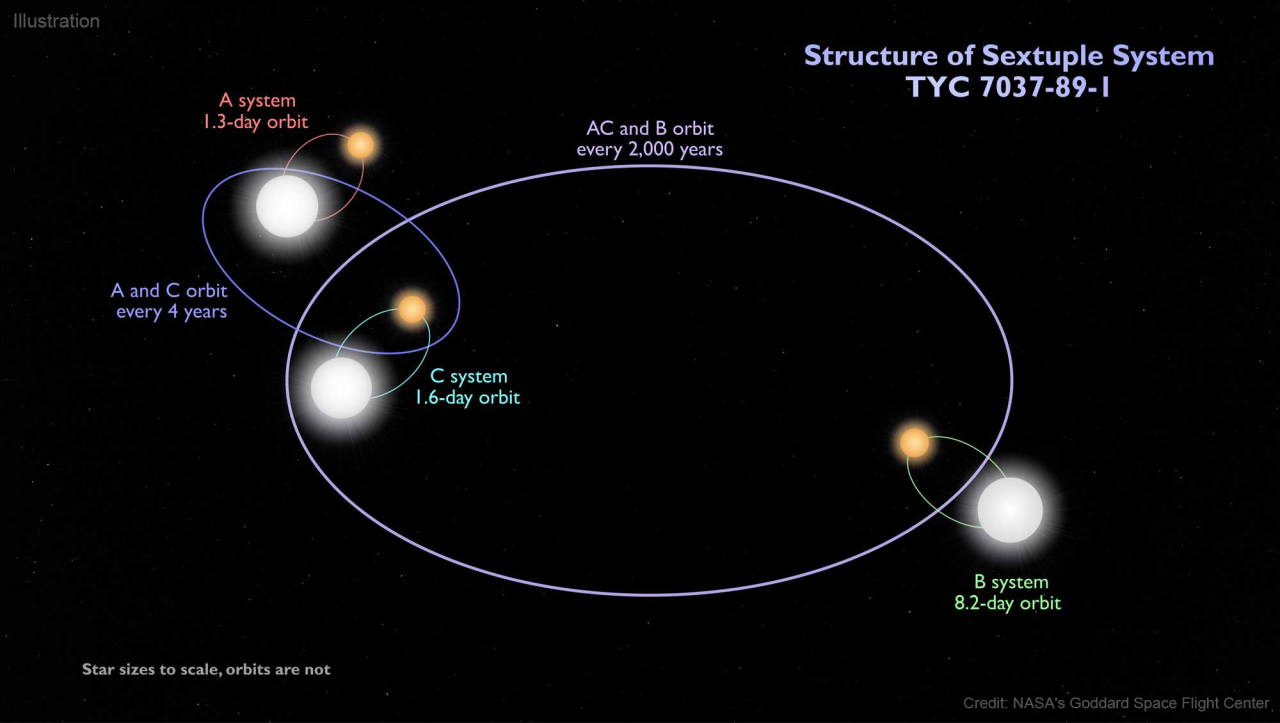 This diagram shows the sextuple star system TYC 7037-89-1, a group of six stars that interact with each other in complex orbits. The stars are arranged in pairs: System A, System B, and System C, each of which is shown as having one larger white star and one smaller yellow star. The two stars of System A, in the upper left, are connected by a red oval and labeled "1.3-day orbit." The two stars of System C, just below System A, are connected by a turquoise oval and labeled "1.6-day orbit." Additionally, these two systems orbit each other, shown as a larger blue oval connecting the two and labeled "A and C orbit every 4 years." On the other side of the image, in the bottom right, the two stars of System B are connected by a green oval and labeled "8.2-day orbit." Lastly, Systems A, B and C all interact with System B orbiting the combined A-C system, shown as a very large lilac oval labeled "AC and B orbit every 2,000 years." A caption at the bottom of the image notes, "Star sizes are to scale, orbits are not." The image is watermarked with the text “Illustration” and “Credit: NASA's Goddard Space Flight Center.”