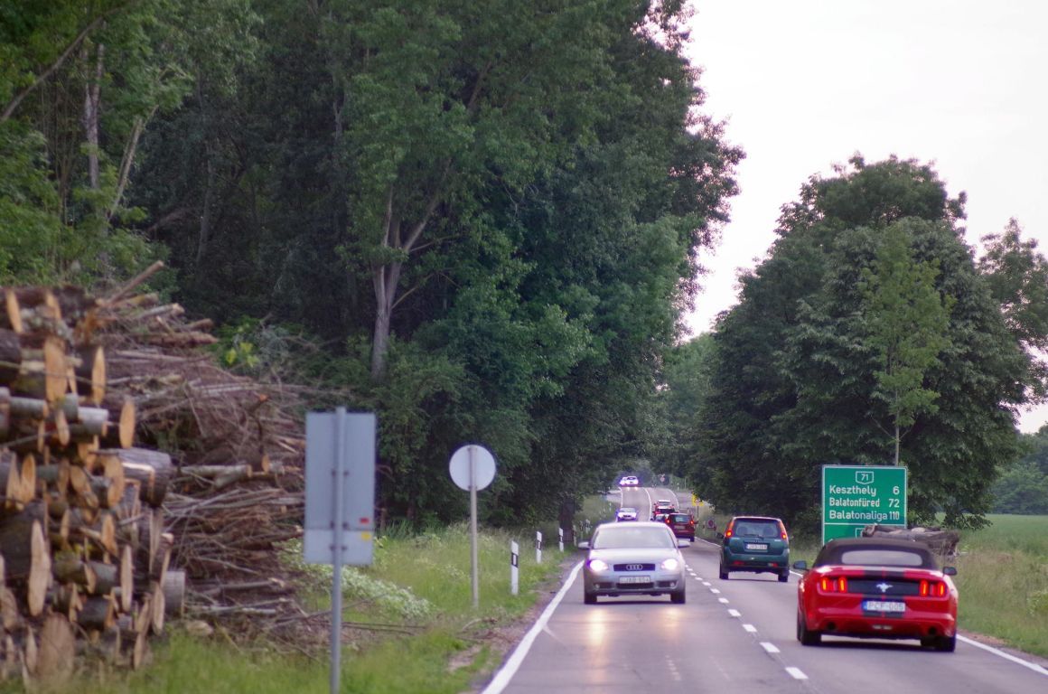 (via 200 ezer négyzetméteren tarolják le az erdőt a Balaton déli partján )
