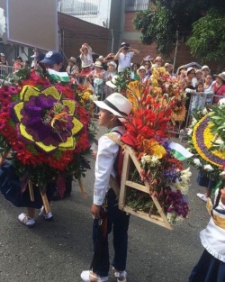 #feriadeflores2017 #desfiledelossilleteros