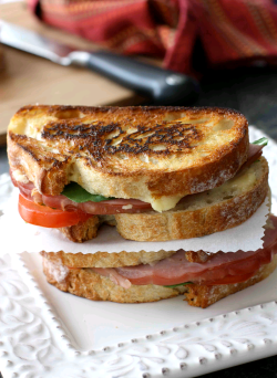 verticalfood:  Grilled Cheese Sandwich with
