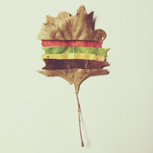 A few great iPhone photos from Brock Davis! That hamburger leaf has us hungry. via anythingphotograp