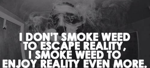 Pot head Paradise