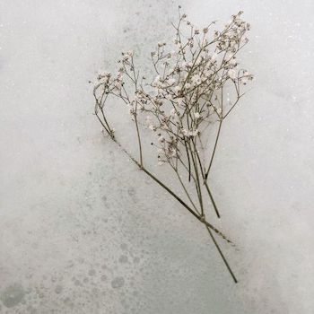 Meadowsweet Tea By Louizsv For Outropeace