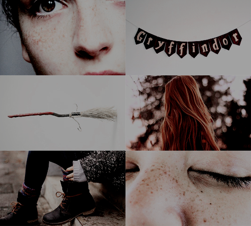 finncresta: hp ladies / hermione, ginny &amp; luna