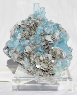 bijoux-et-mineraux:Aquamarine and Muscovite