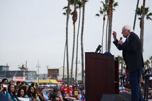 I don’t have anywhere else to post these so you’re getting them here! Yesterday, Bernie Sanders held