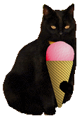 cat eating icecream