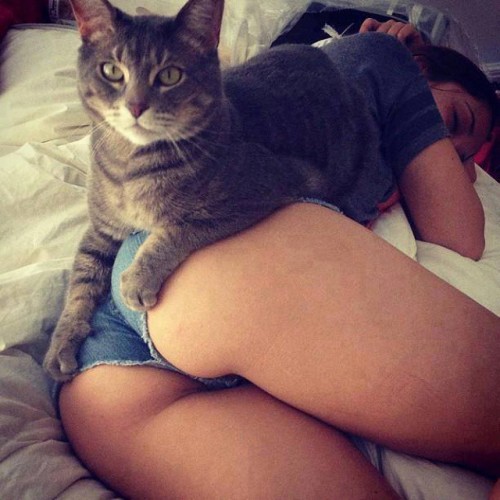 babesintightshorts: You can see her pussy tiny.cc/1uqtiy