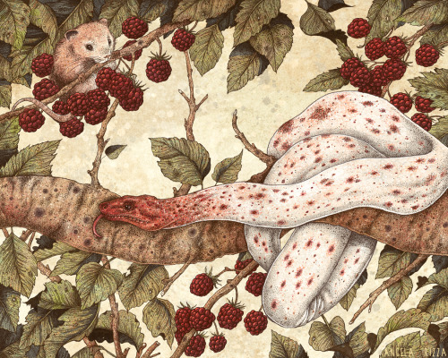 antipahtico:  Angela Rizza