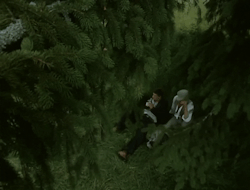 c89ac4f9534a71fbf7c4d0e88ce46a60e026f31f.gifv