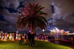 Embellishing An Icon (The Sydney Opera House Is Transformed During The Vivid Sydney