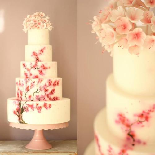 XXX cakedecoratingtopcakes:  Cherry Blossom Wedding photo