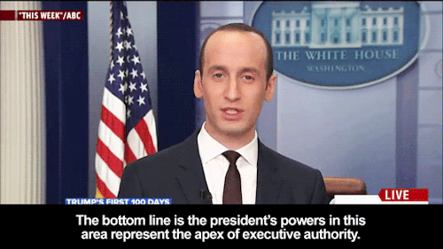 geekandmisandry: samael:   rolling-for-charisma:  fattyatomicmutant:  klinkitty:   fattyatomicmutant:  sandandglass: Morning Joe covers the statements of White House advisor, Stephen Miller. Here you go. The nazis you elected is outright stating their