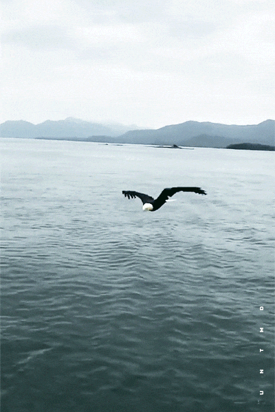 taramysweetlove: nellamiamentesblog:  Voliamo ……con la fantasia   &lt;3 