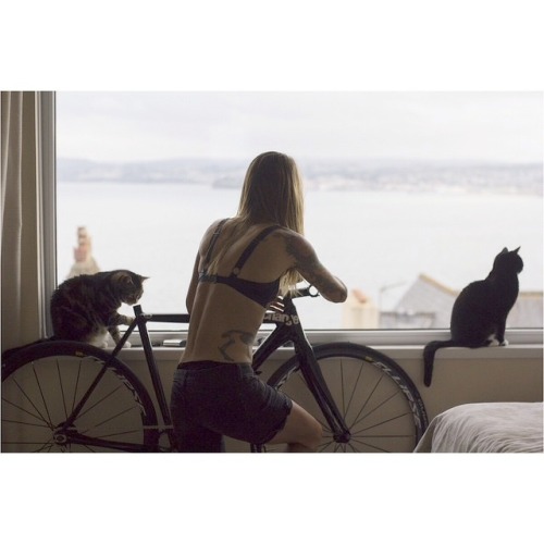 kuatdriveyards: Juliet Elliottseat tube catscan.