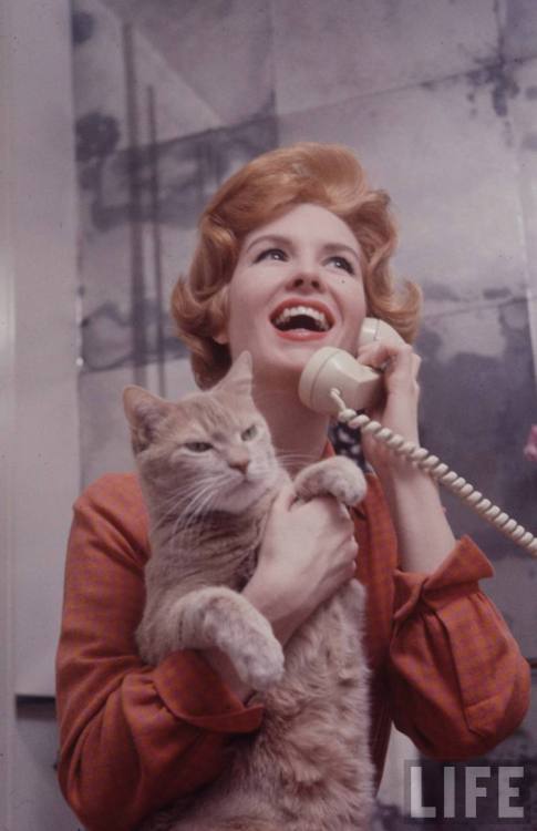 Pioneering spokesmodel Julia Meade with annoyed cat(Yale Joel. 1960)